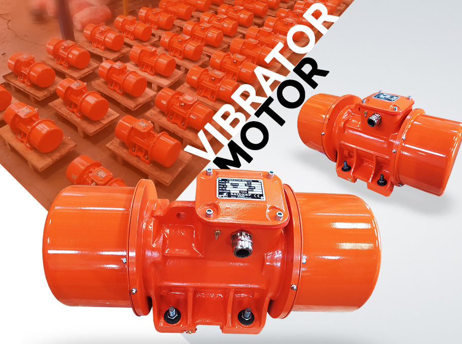 Electric Vibrator Motors