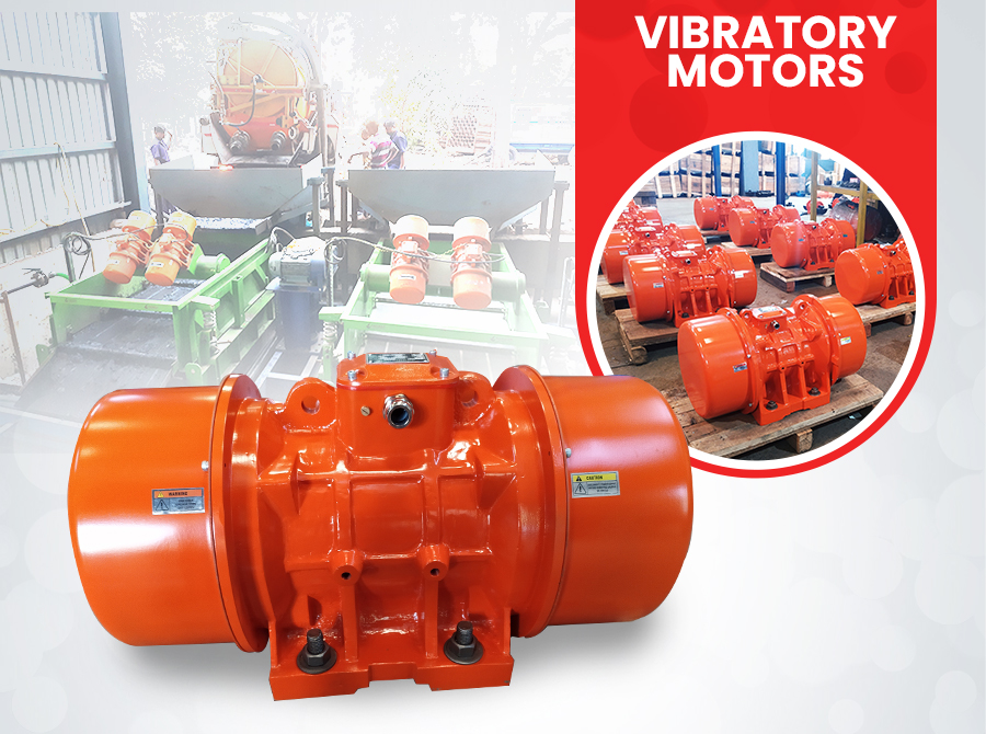 Electric Vibrator Motors