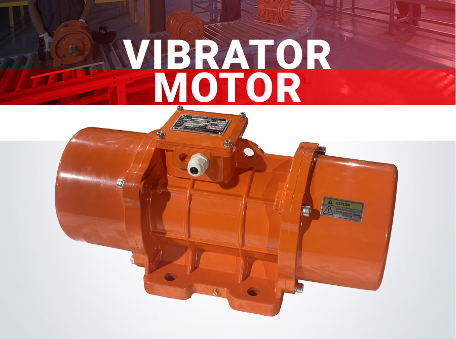 Electric Vibrator Motors