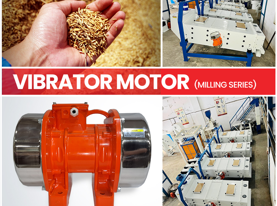 Electric Vibrator Motors